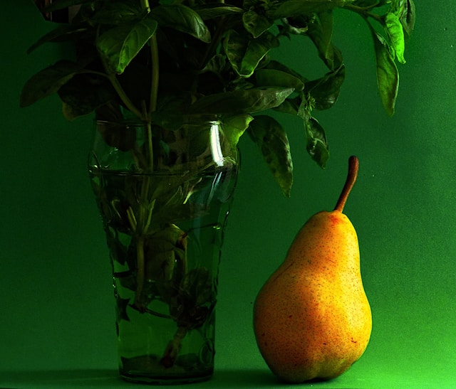 Strvonnira galéria 3